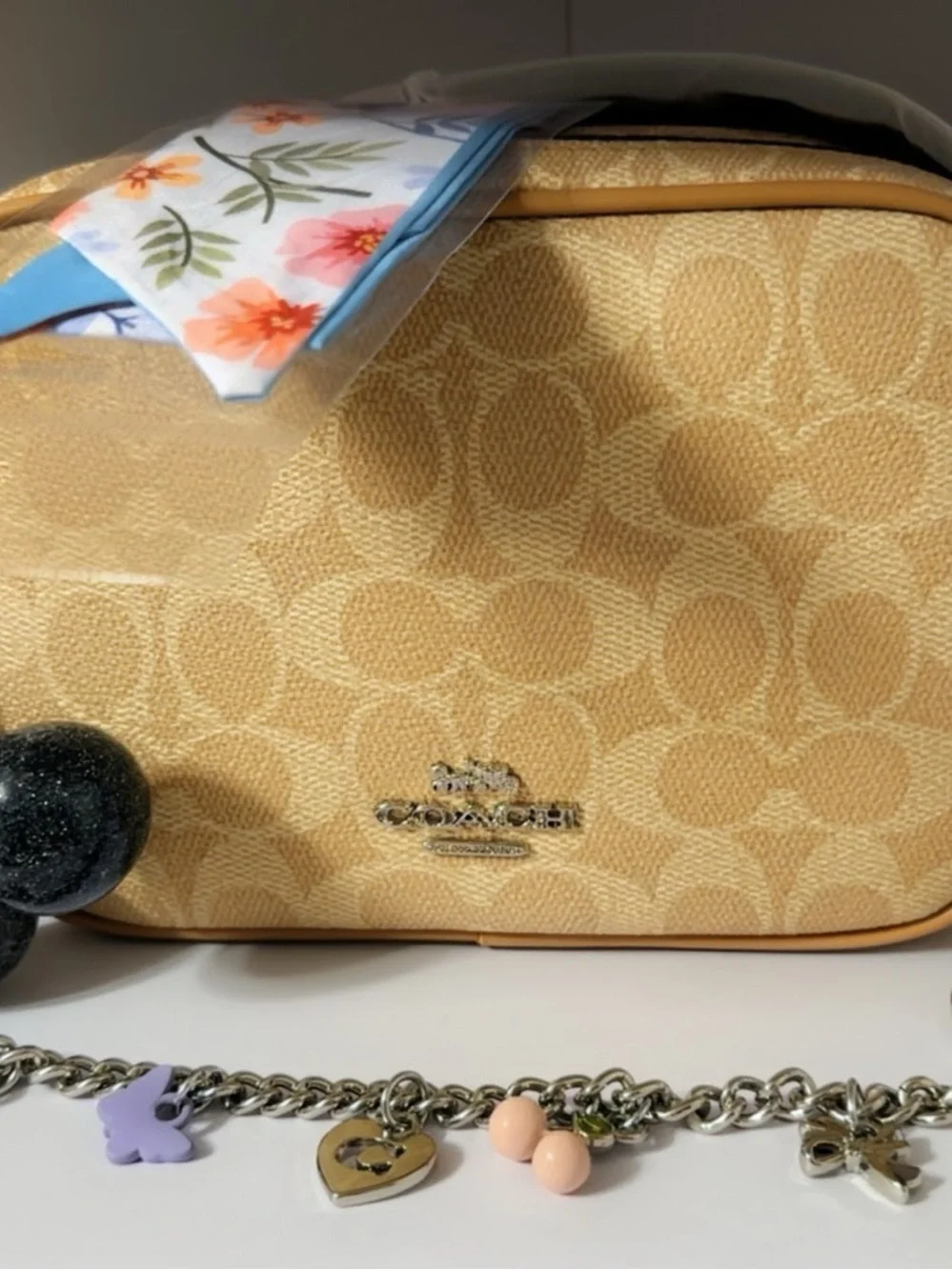 Coach Carey Crossbody Bag